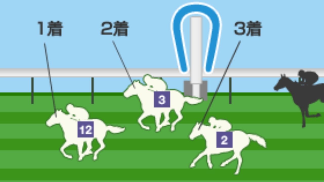 競馬のワイドとはどういう賭け方？実は初心者におすすめな理由を解説します！｜ユメドリのネタ帳